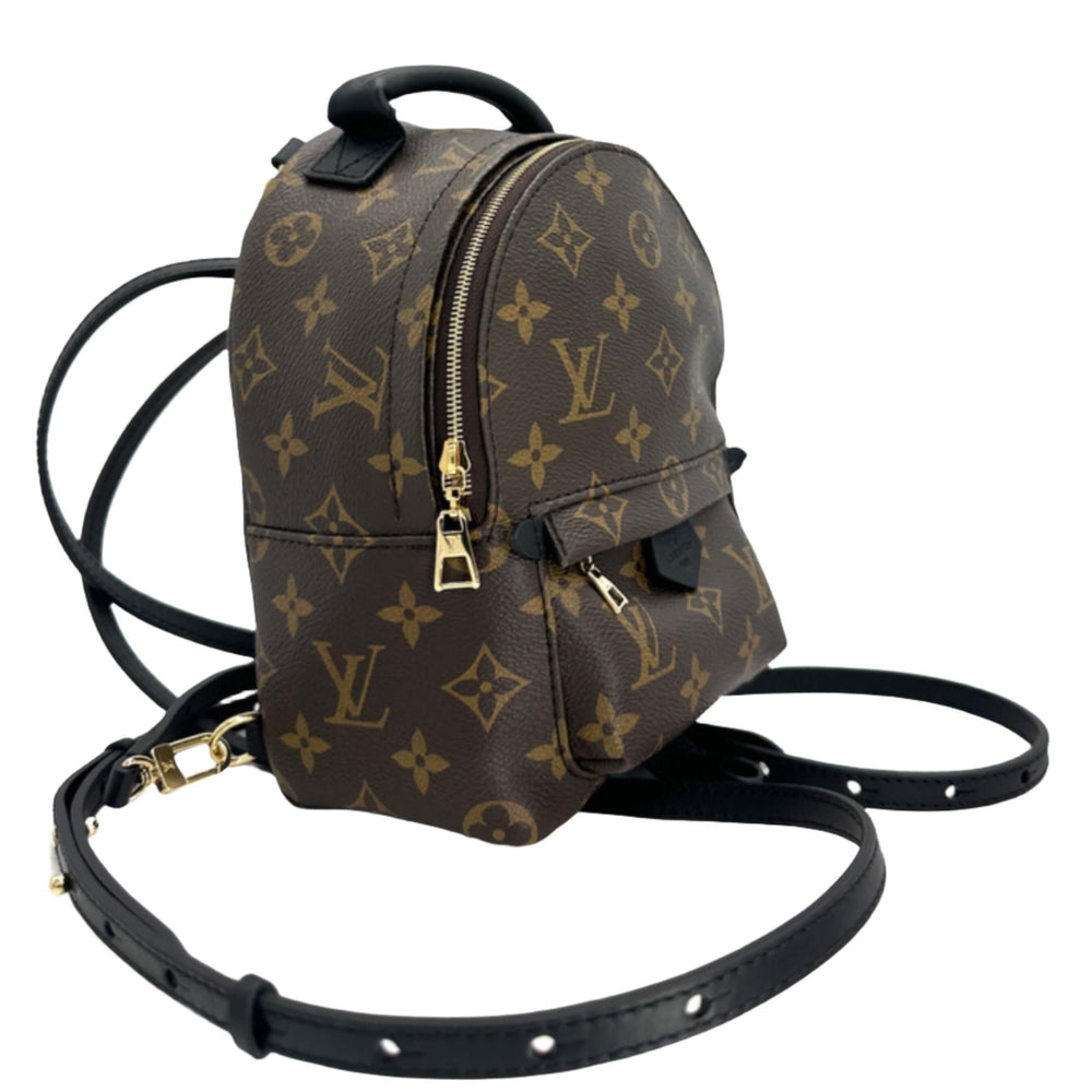 Louis Vuitton Monogram Palm Springs Backpack Mini with gold hardware and adjustable black leather straps