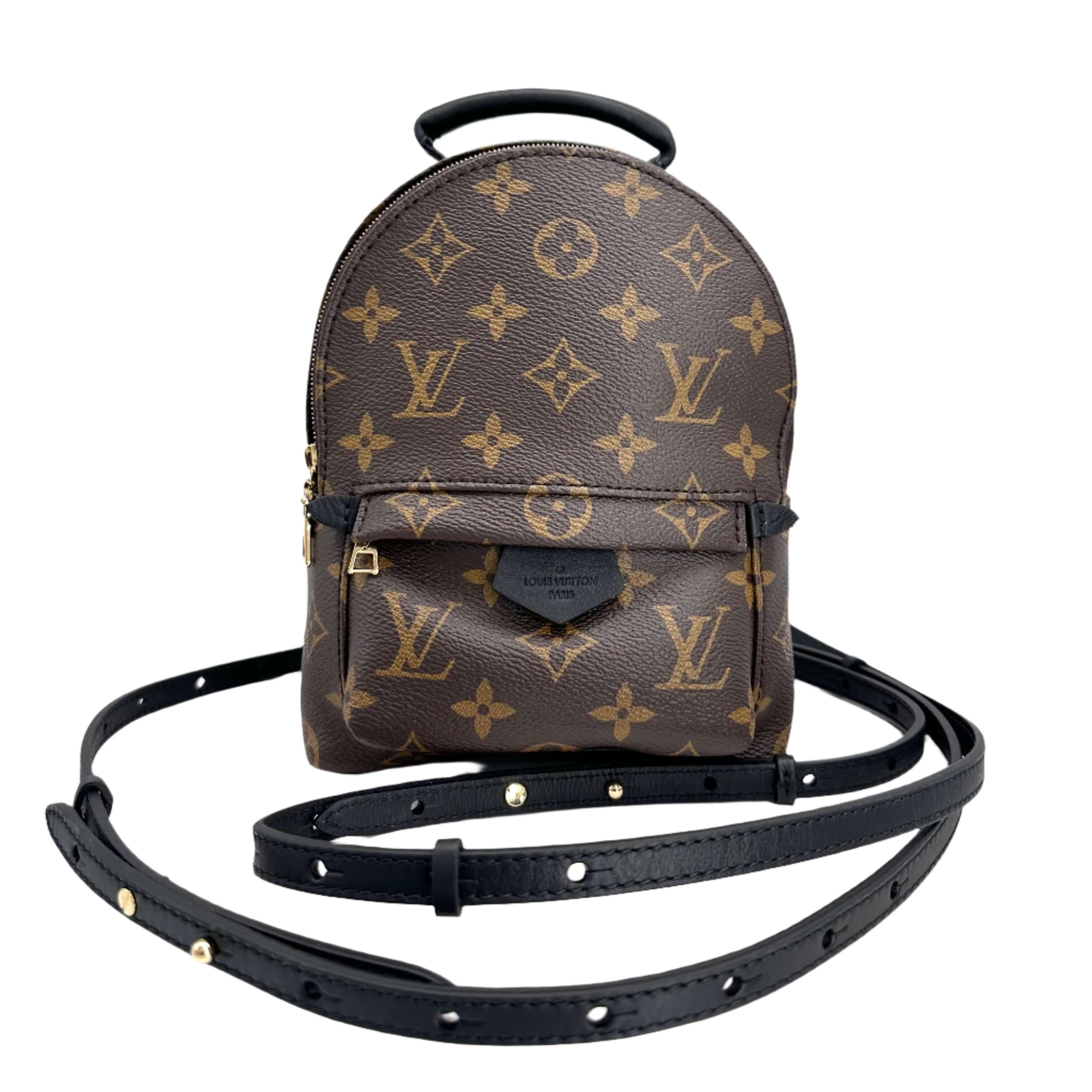 Authentic Louis Vuitton Palm Springs Mini Backpack LuxLoveLouis