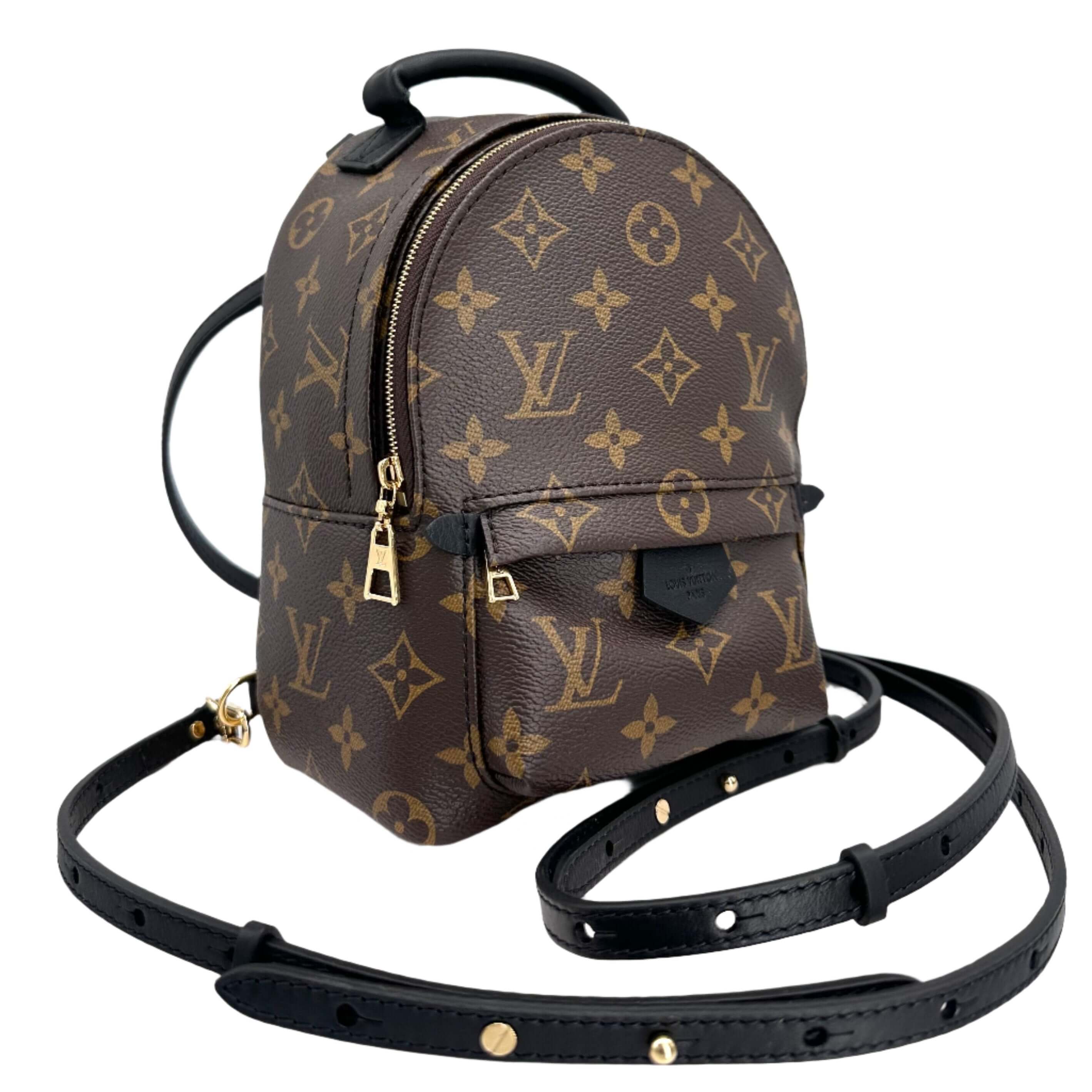 Louis vuitton backpack for women online